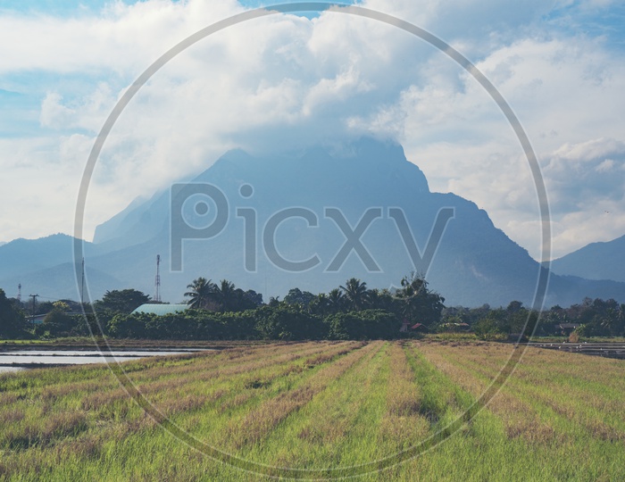 Landscape of Fields, Chiang Dao National Park, Thailand