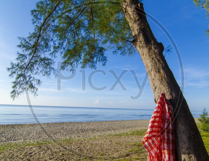 A Towel hung on to the tree by the tropical beach, Thailand