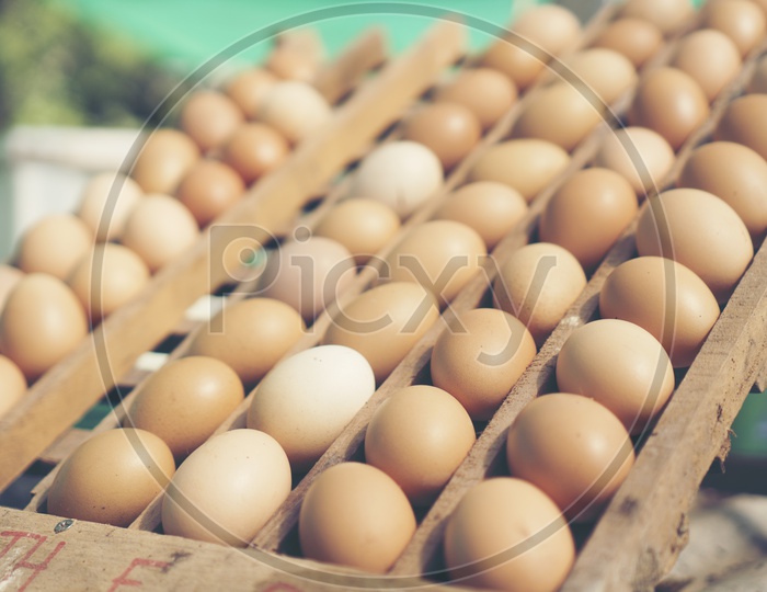 Close up of organic chicken eggs stacked