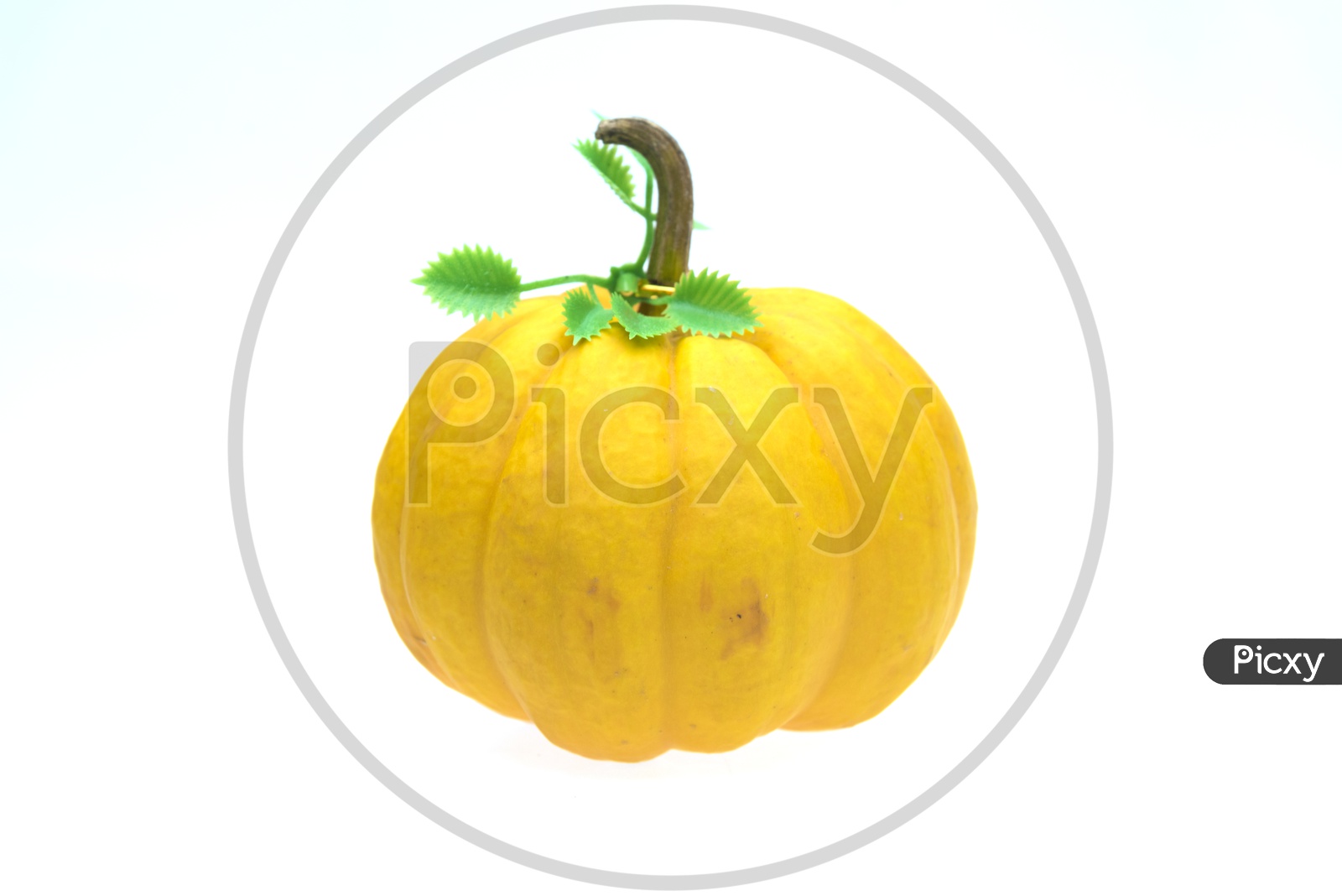 Yellow Pumpkin on an Isolated White Background