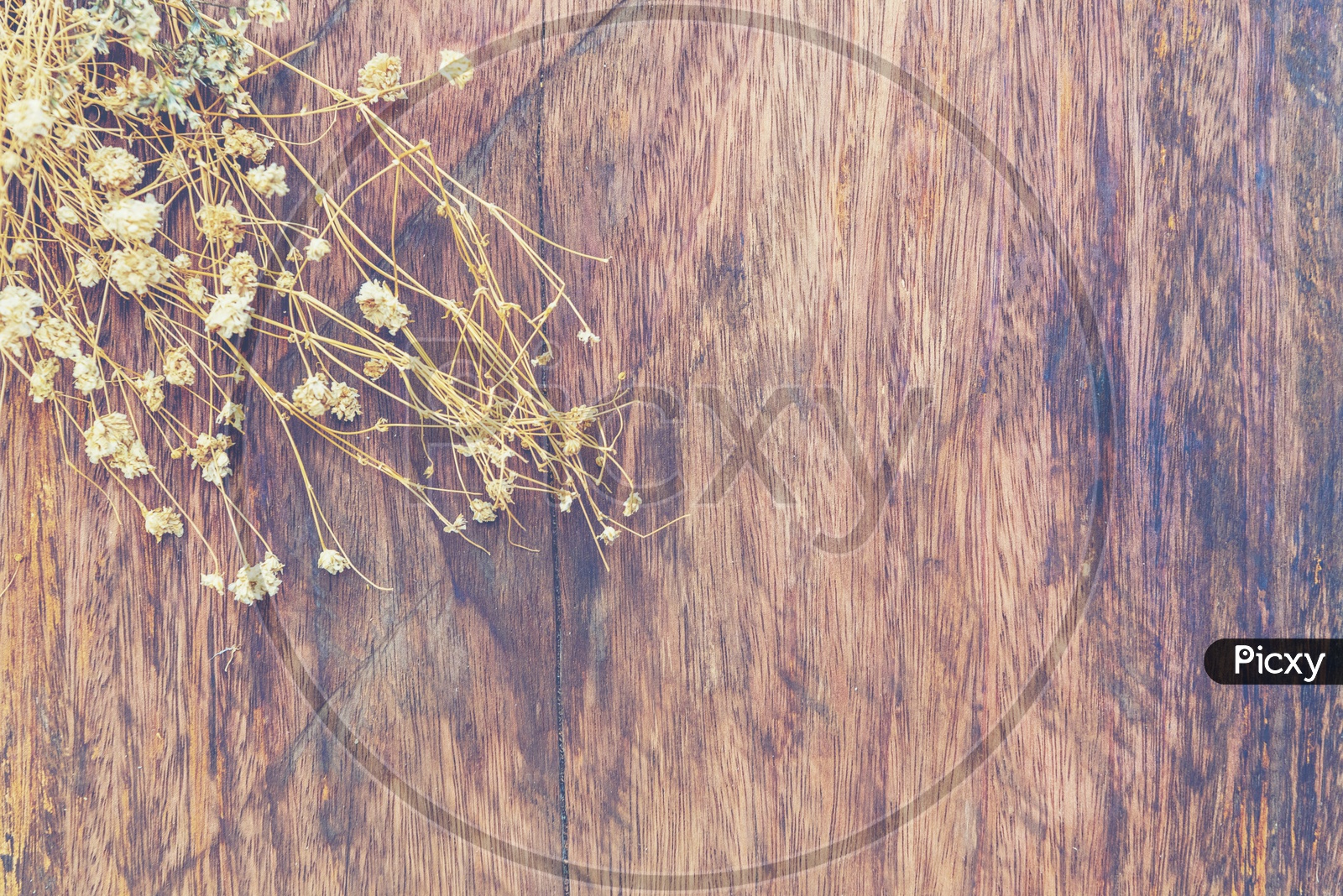 Summer dried flowers on vintage wooden background