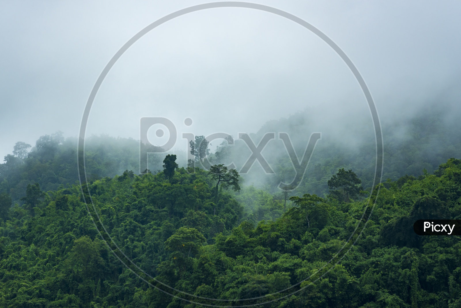 Mountain Passes With Foggy Clouds  Resembling Nature Or Eco-system In Khao Yai National Park