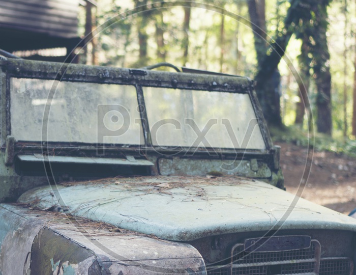 Old Vintage Car Wreckage in Woods