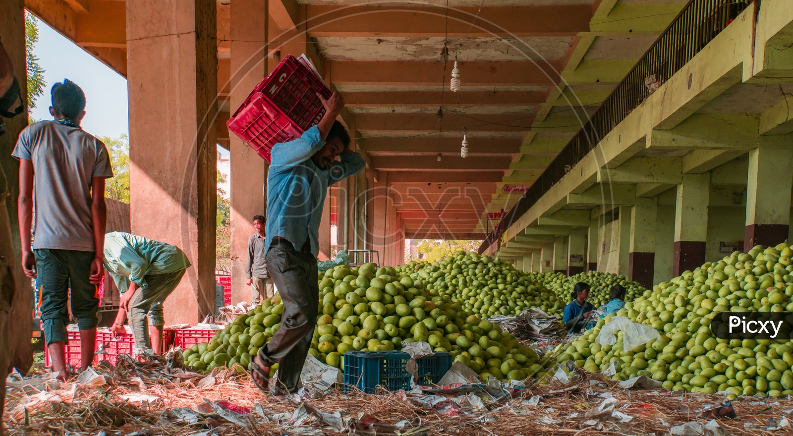 View of mangoes and seller in the market