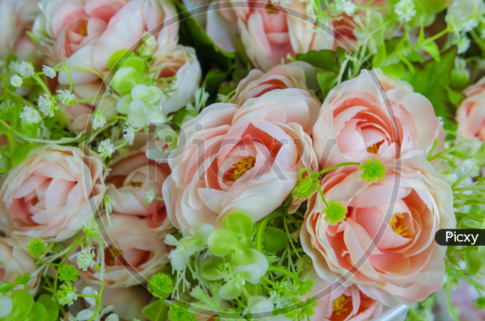 Close up of rose flowers background for Valentine's Day, vintage filter image