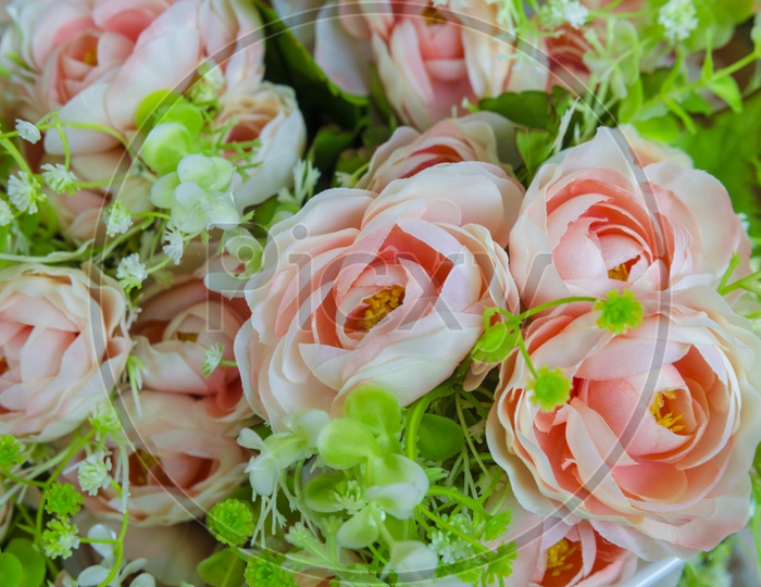Close up of rose flowers background for Valentine's Day, vintage filter image