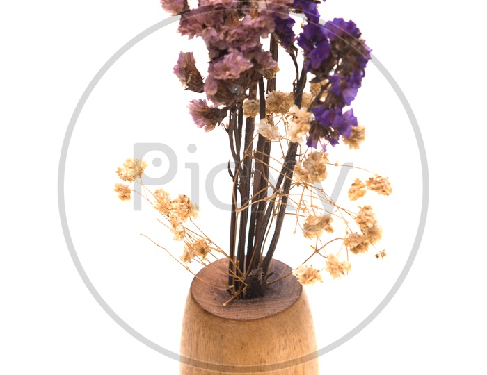 Summer  Dried Vintage Flower In a Vase on Isolated White