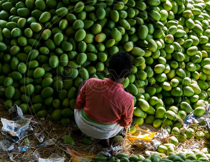 Top view of mangoes and seller in the market