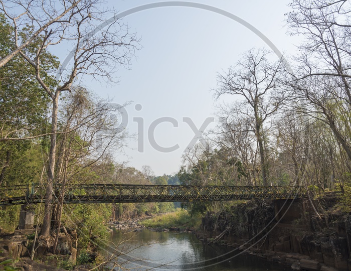 Wooden Bridge Over  a Water Channel in Khao Yai National Park