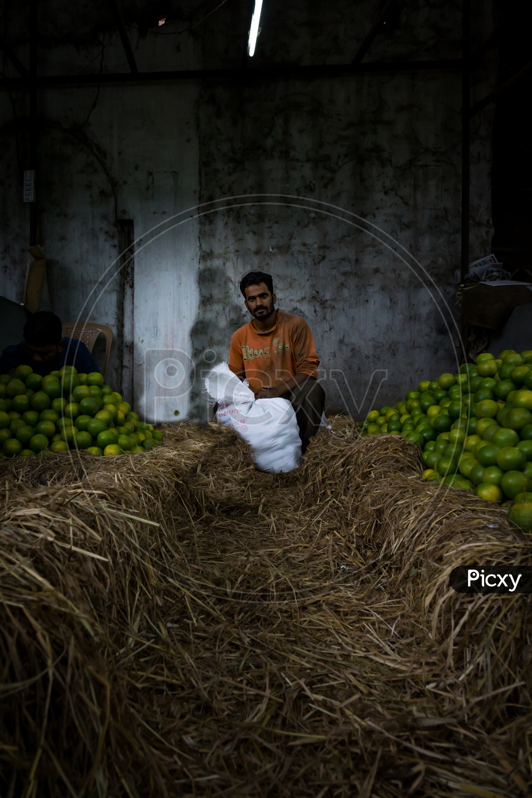 A mango seller in the market