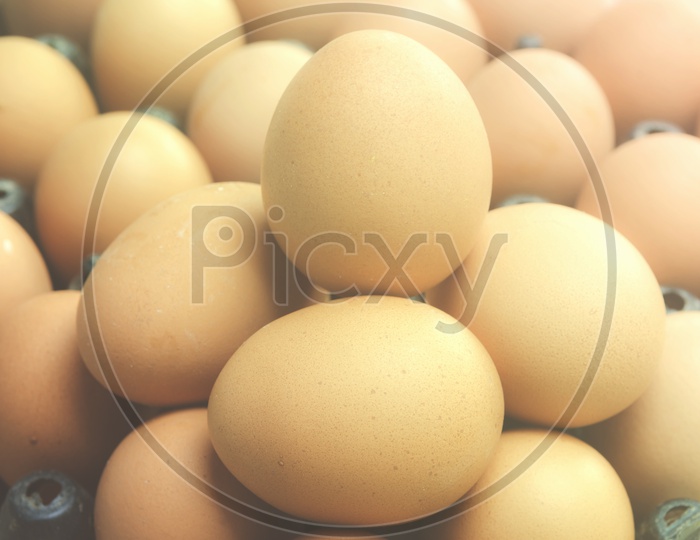 Chicken Eggs Or Organic Eggs in a Tray  Closeup