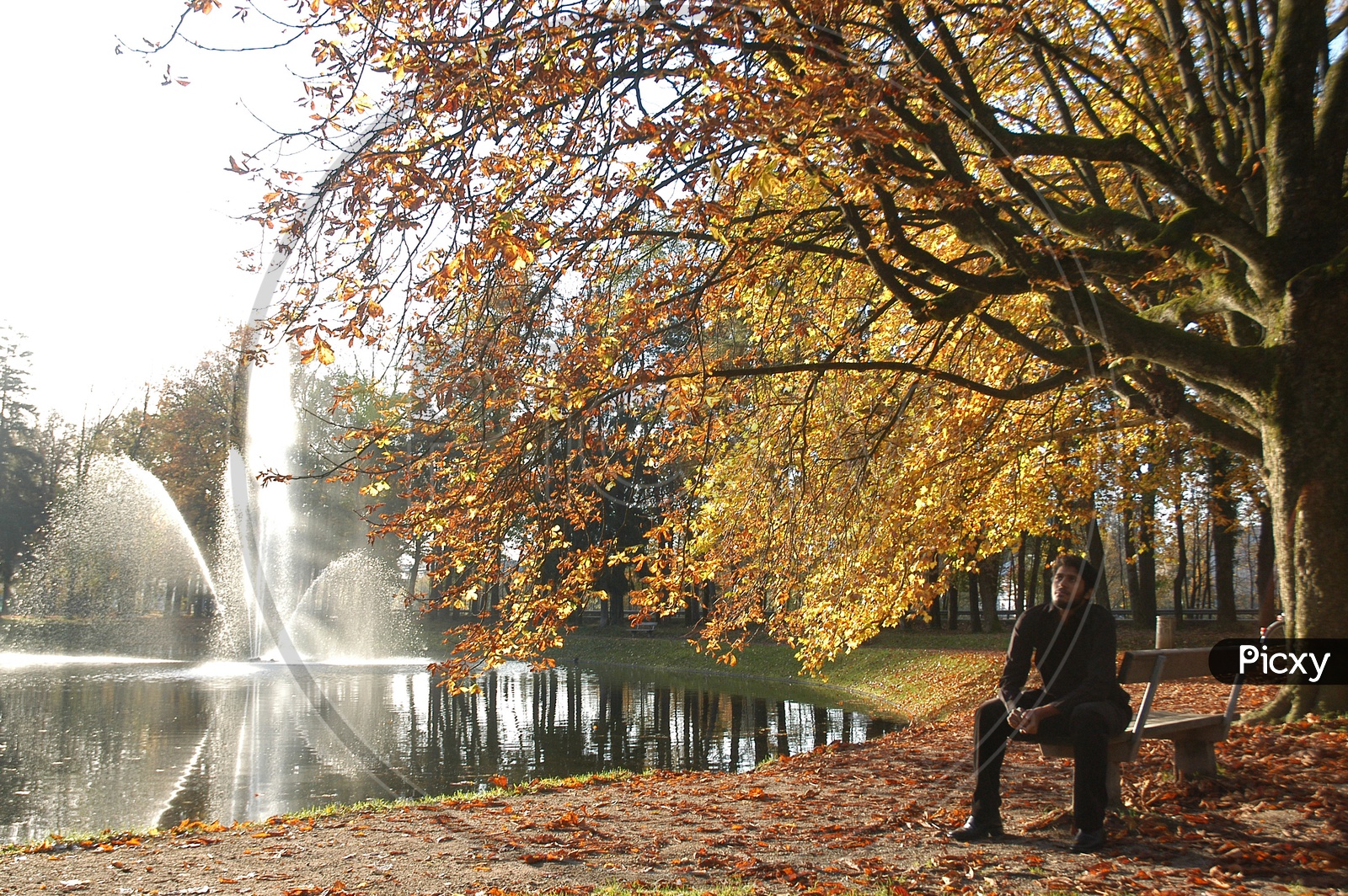 Indian Lonely Man sitting on the bench during Autumn