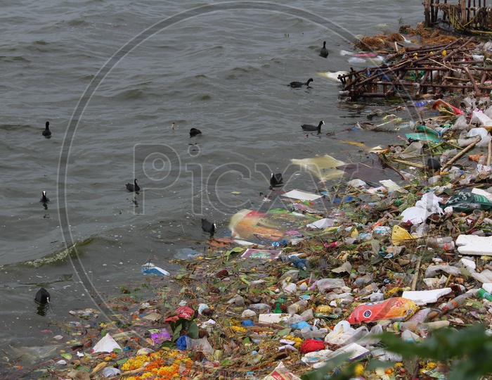 Water pollution and plastic in tank bund lake