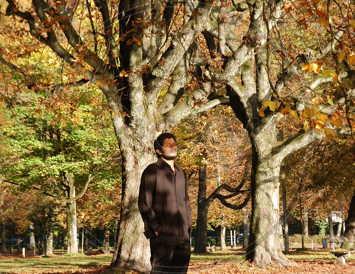 Indian Lonely Man standing under the maple tree during fall season