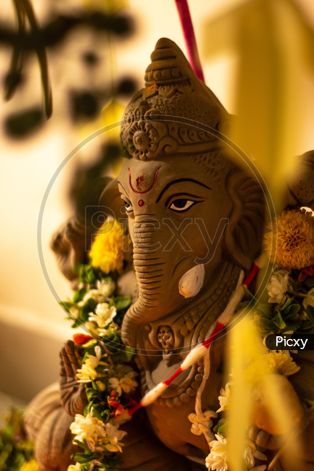 Eco friendly Ganesha receiving the prayers
