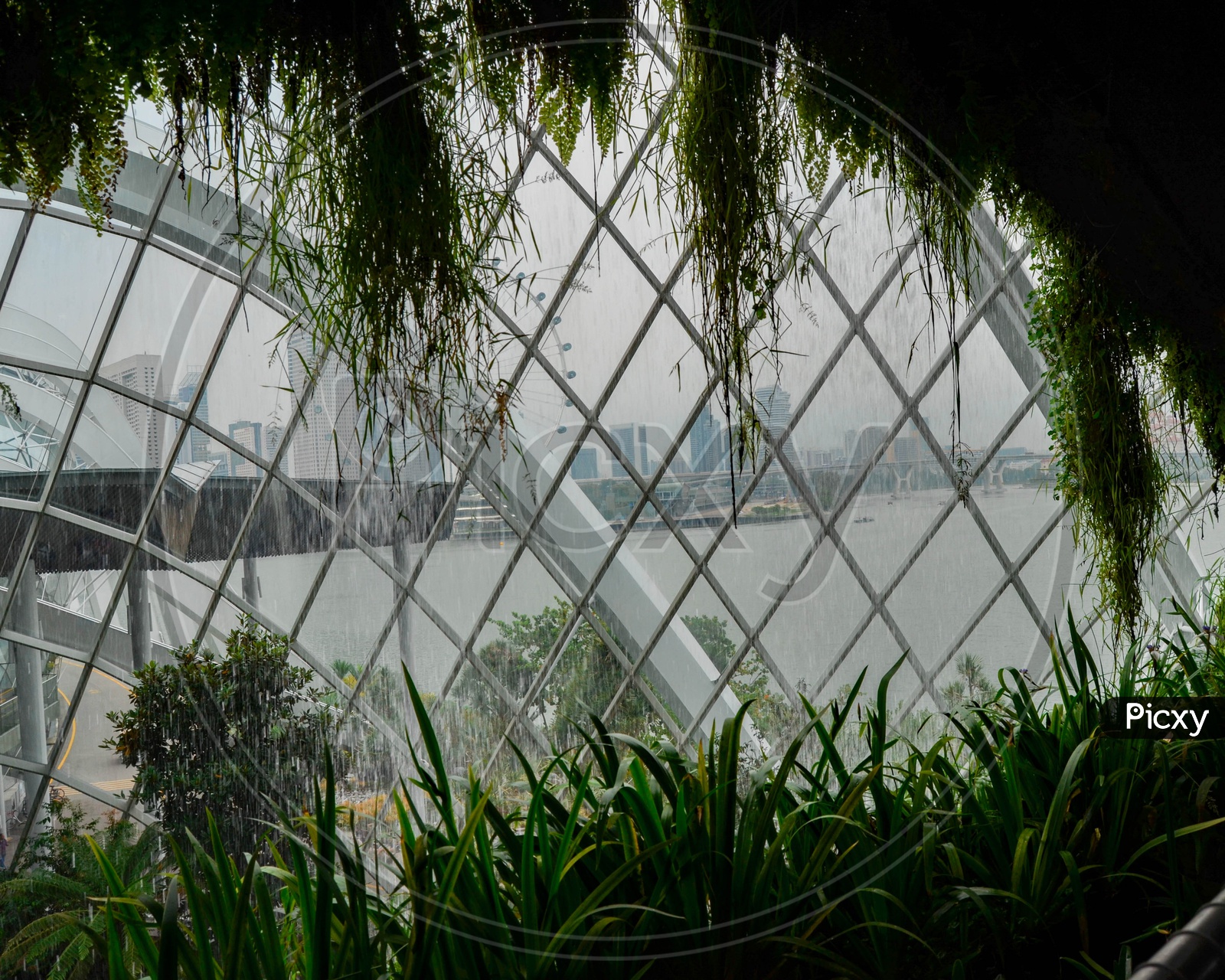 Garden by the Bay (Singapore)