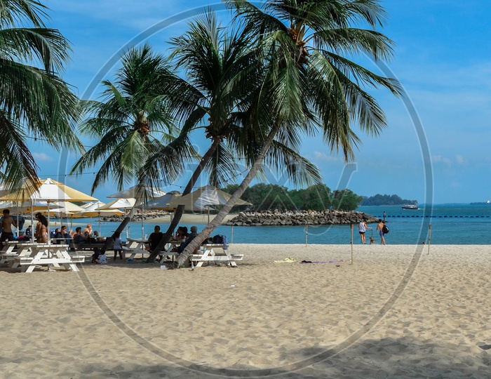 Singapore Sentosa beach with palm trees