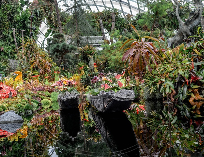 plants at Garden by the Bay (Singapore)