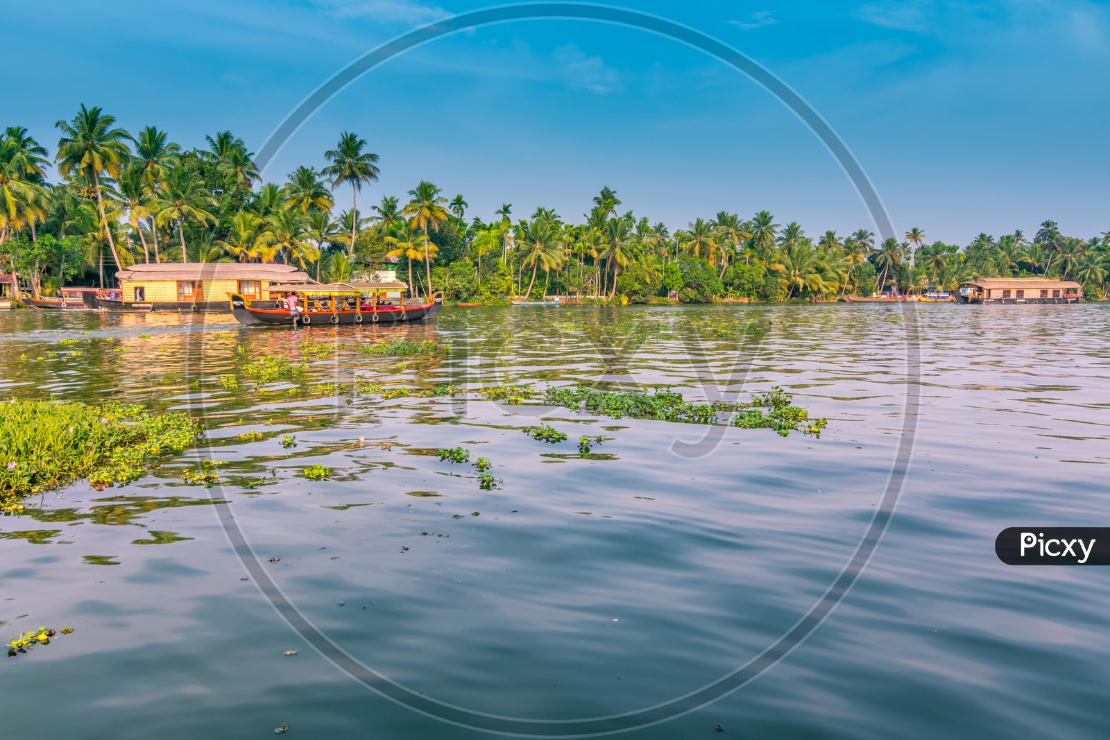 Landscape of Kerela backwaters with houseboats