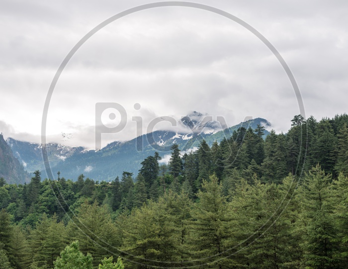 Landscape of Manali with Snowy Himalayan Mountains