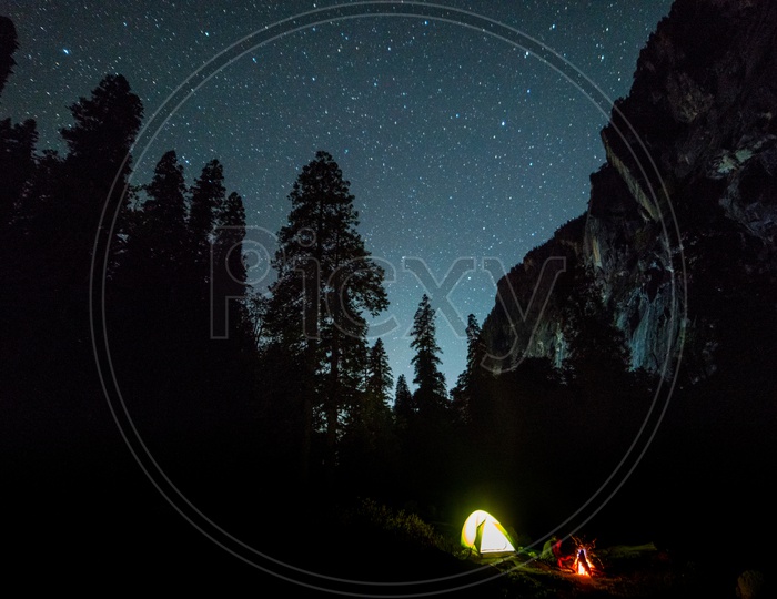 Campfire under night sky surrounded by forest in the mountain ranges