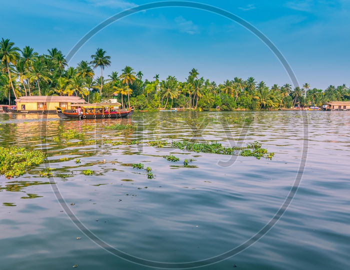 Landscape of Kerela backwaters with houseboats
