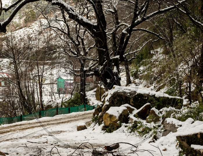 Snow covered road in mountains, Kullu Village
