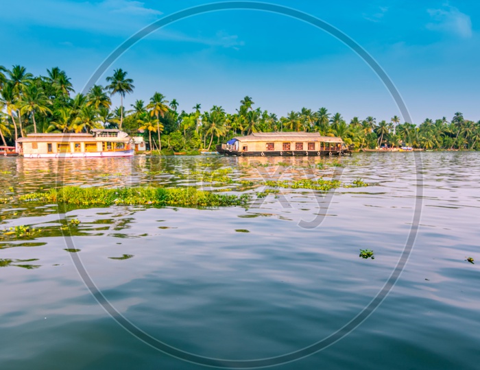 A Scenic view of Kerela backwaters with houseboats