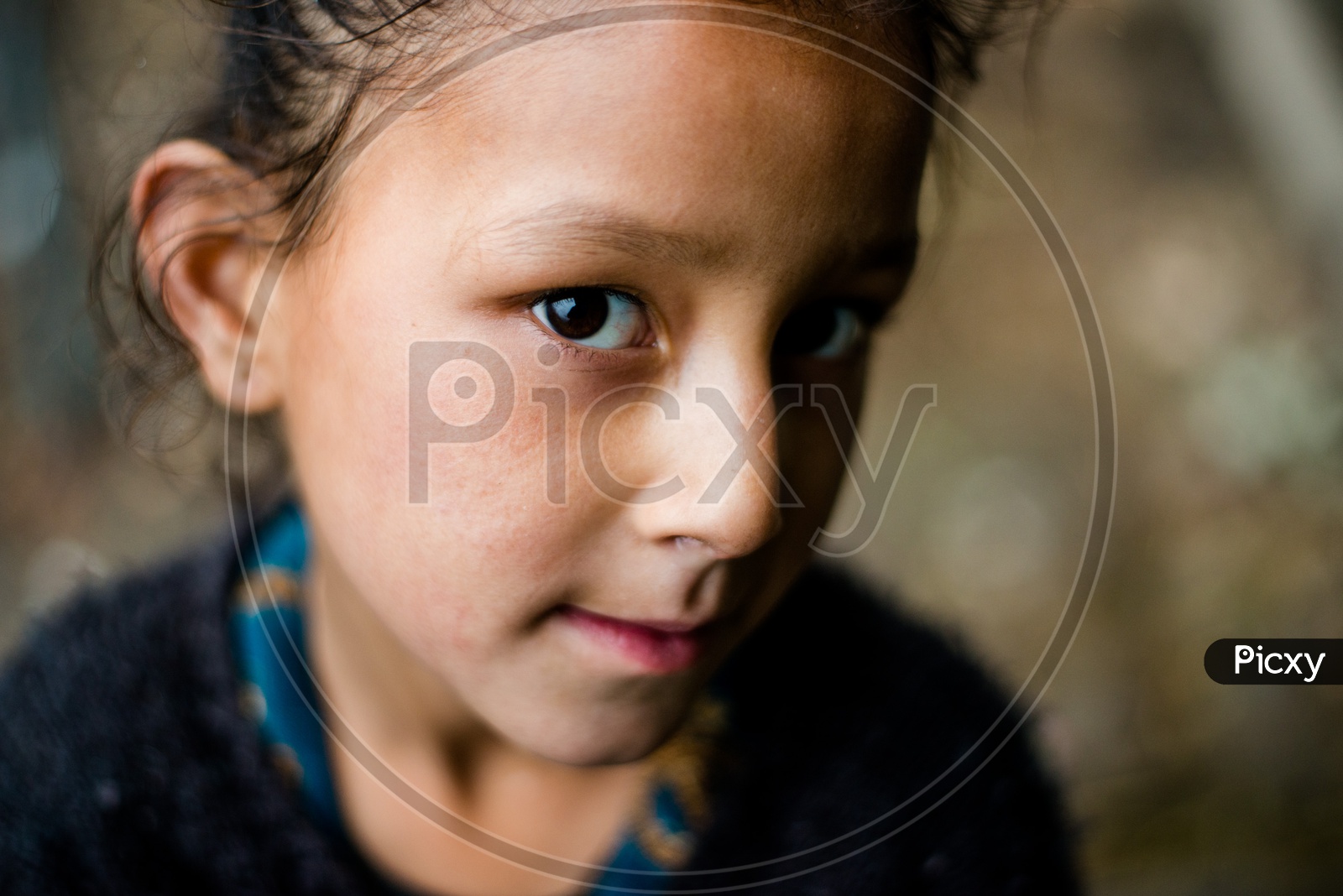 Closeup Shot of Himalayan kid in mountain, sainj valley