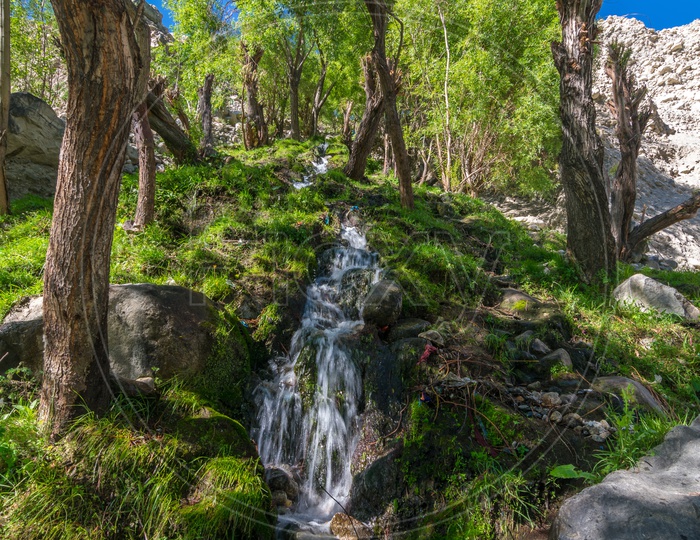 A Waterfall amidst the trees