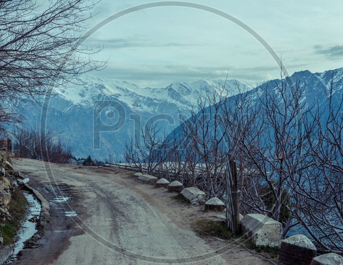 Phioto of Road in Himalayan Village - Road in Kalpa