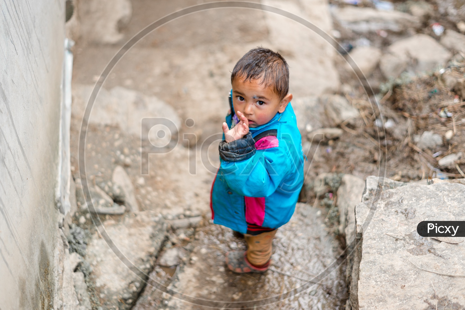 Portrait of Himachali Boy or Kid on the Street in Jerkin or Jacket