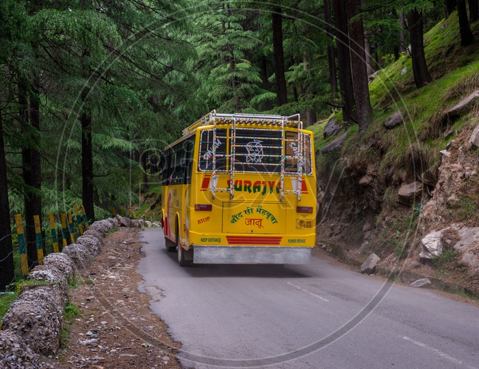A Travel bus moving along the roadway through the forest