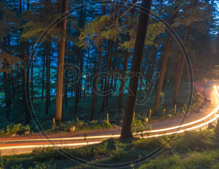Curving light trails through a wooded road at Manali