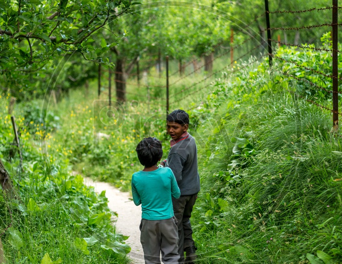 Indian Kids walking in an Apple Garden