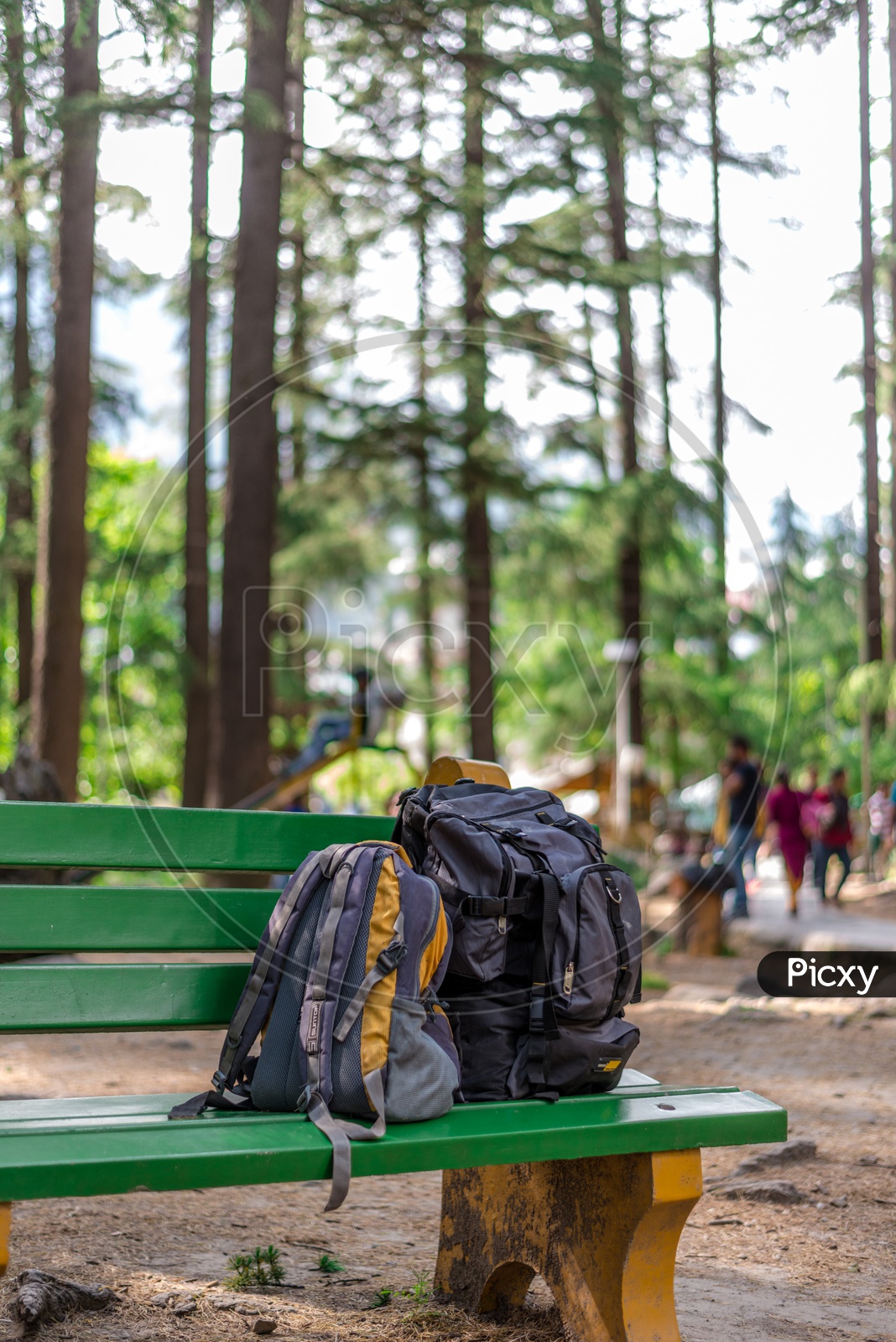 Image of Backpacker Bags on Bench in van vihar national park at Manali GH690975 Picxy