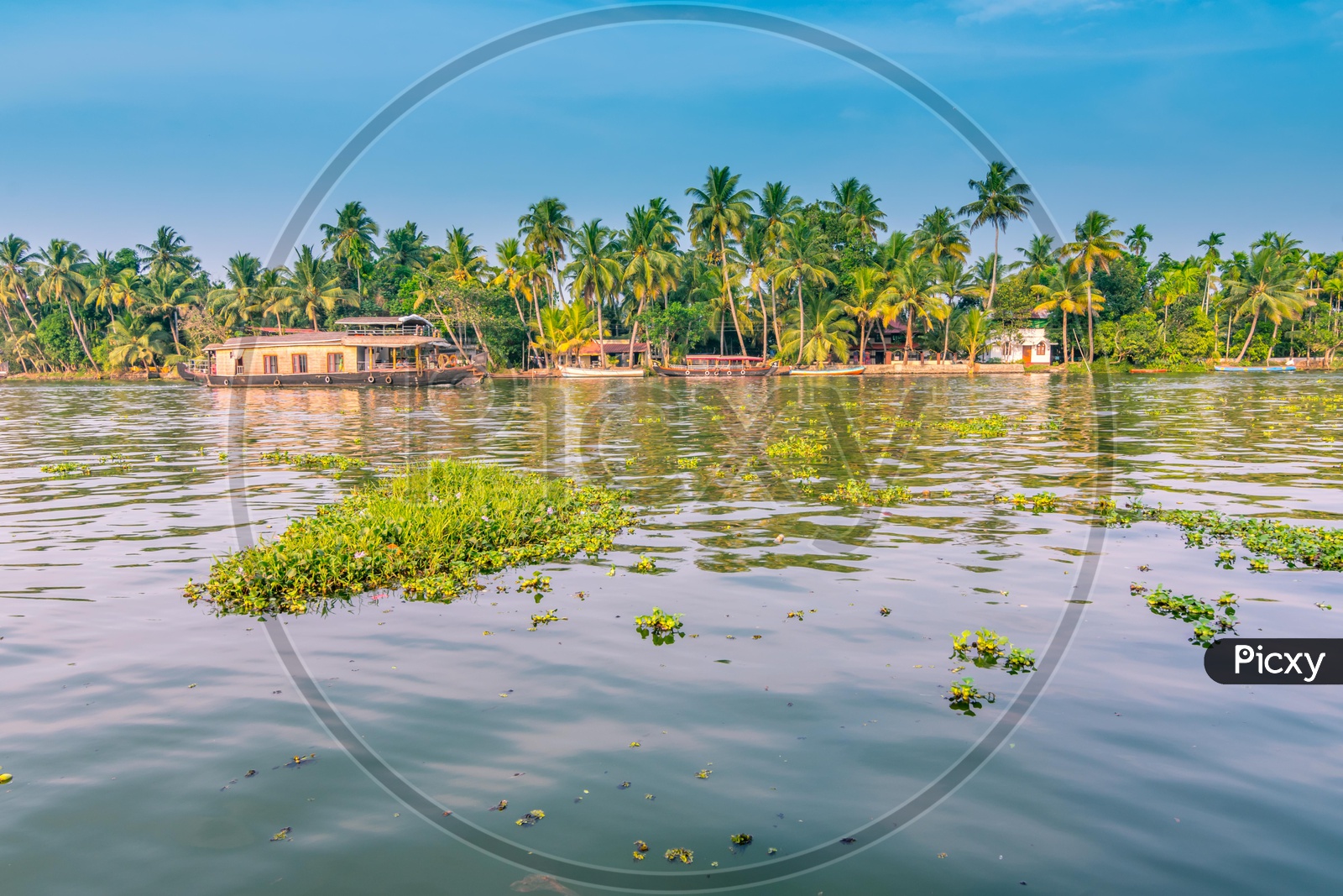A scenery of Kerela backwaters