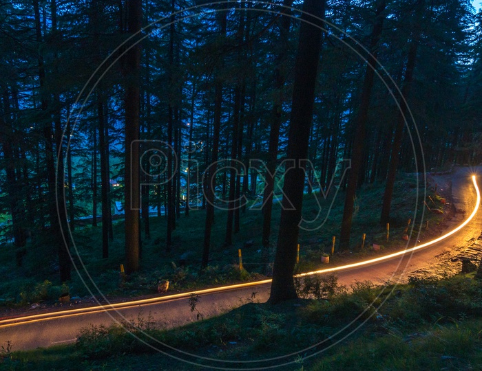 Curving light trails through a wooded road at Manali