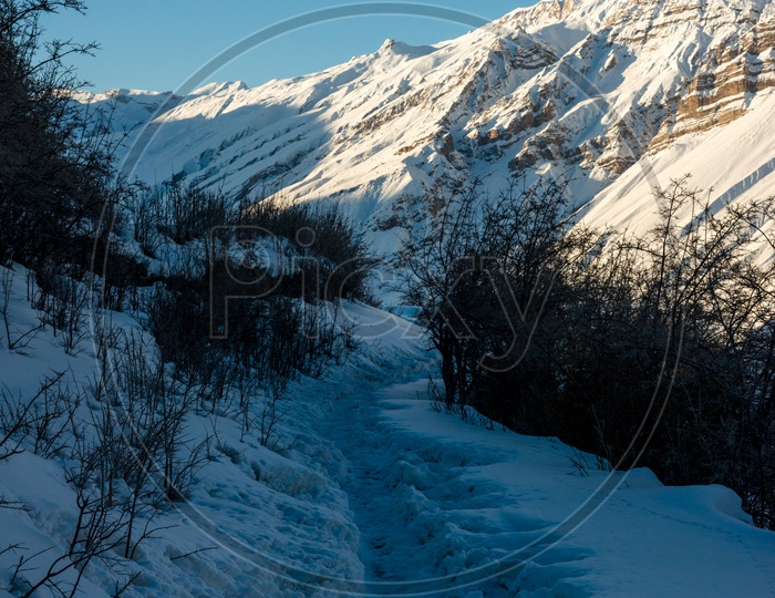 Trekking Path in Snow with Snowy Mountains in Background