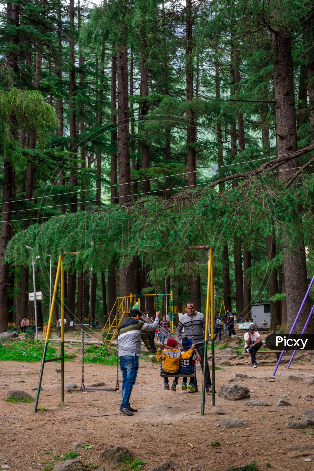 Indian Father with his Kids Playing on Swing in Van Vihar National Park at Manali