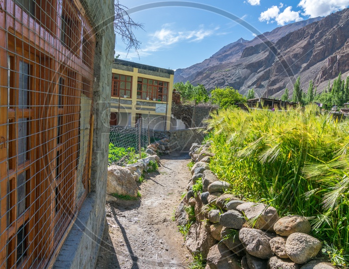 A Narrow roading through the houses of ladakh