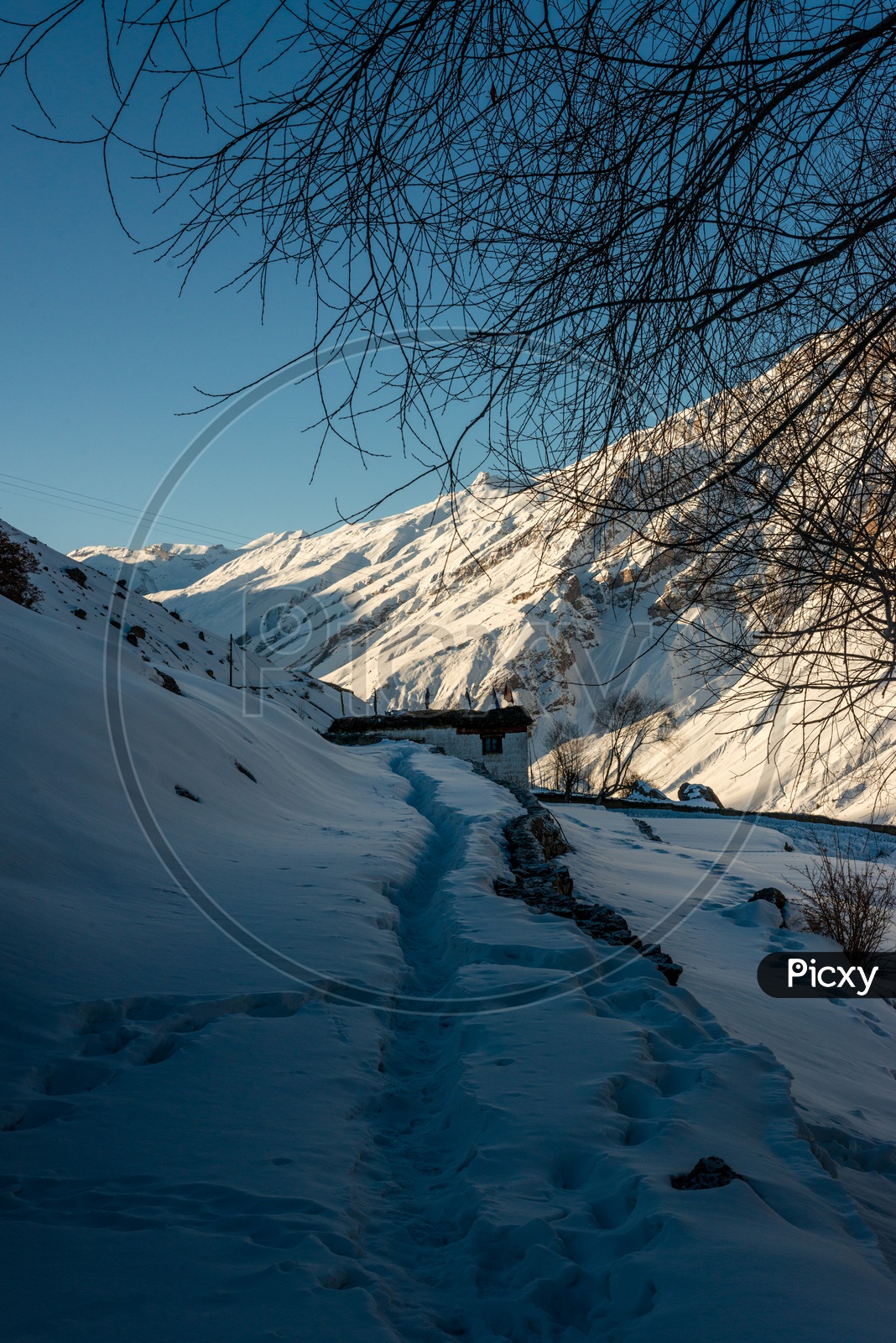 Trekking Path in Snow at Spiti Valley Covered with Snow on Mountains