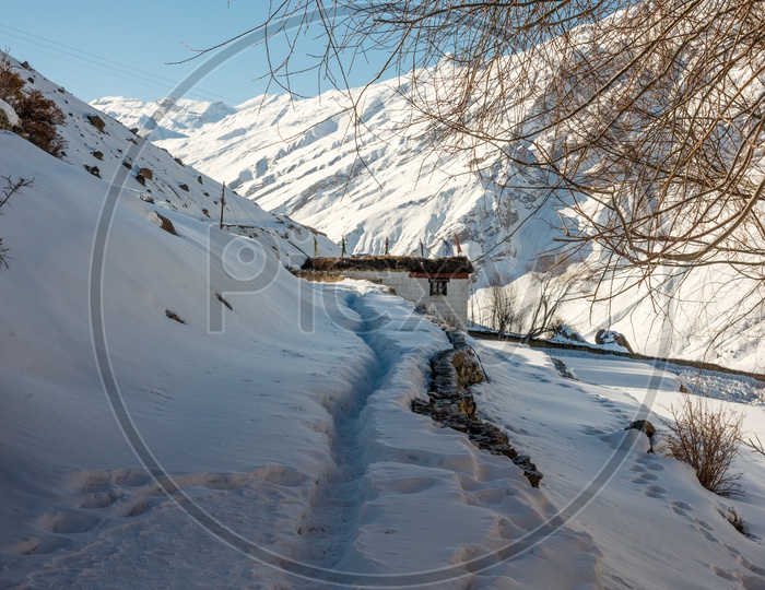 Trekking Pathway in Snow with Dry Trees