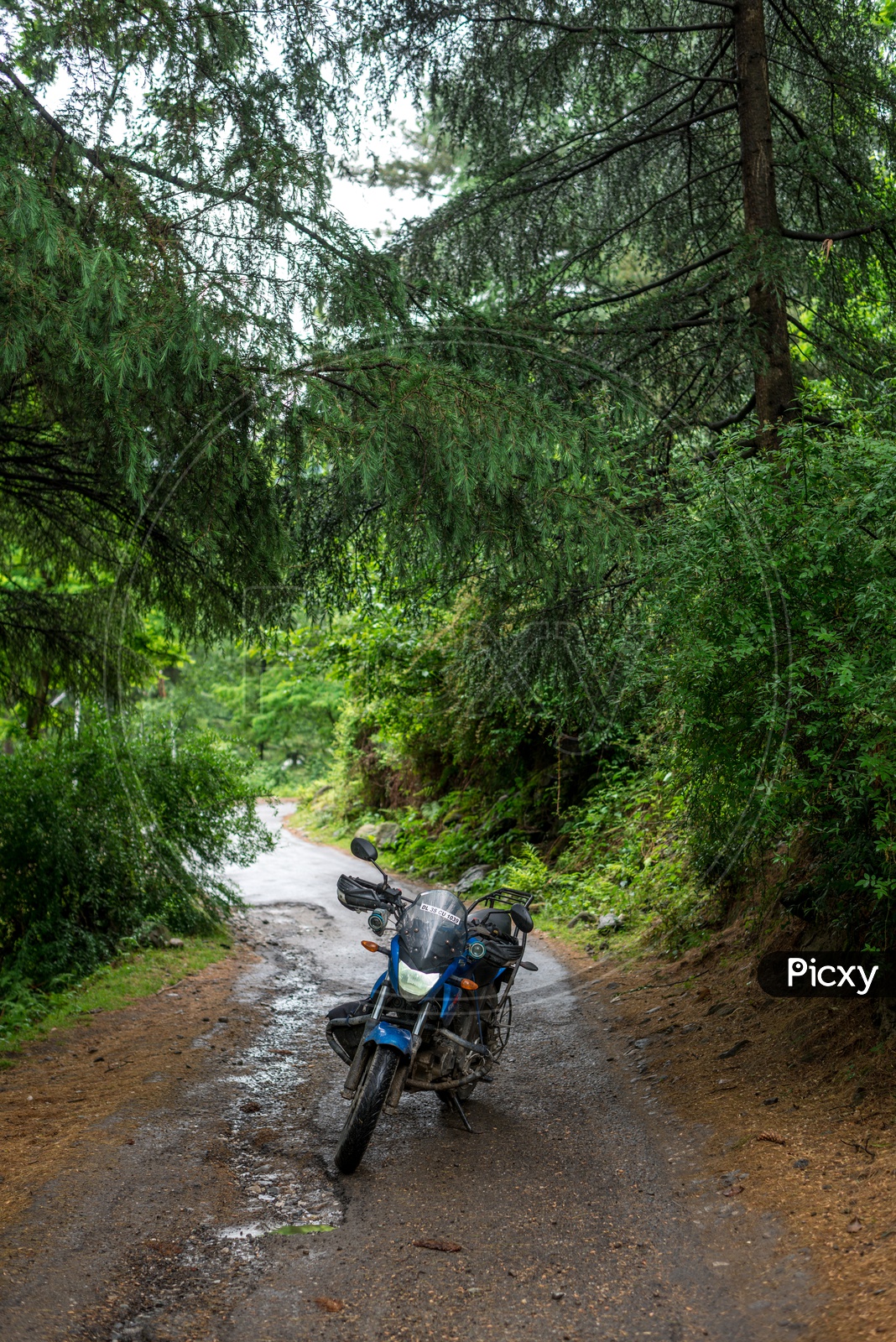 A Traveler's bike parked in the middle of mountain road