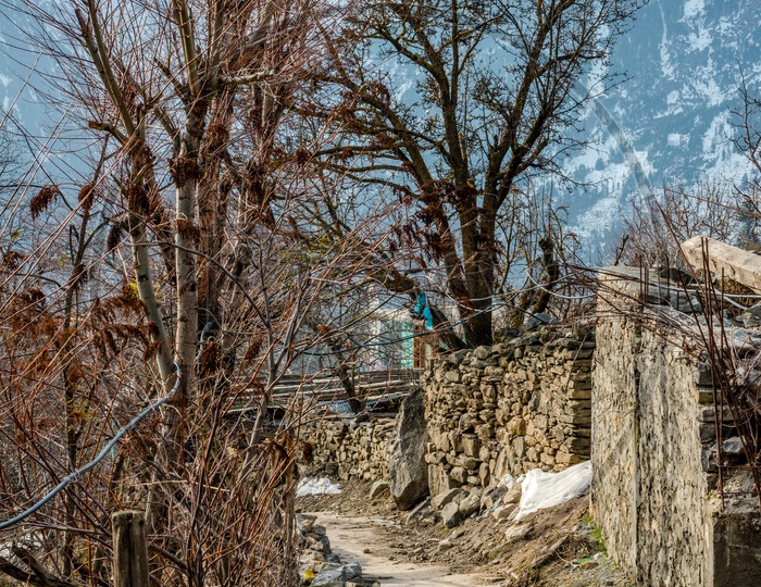 A narrow dirt road in Himalayan Village