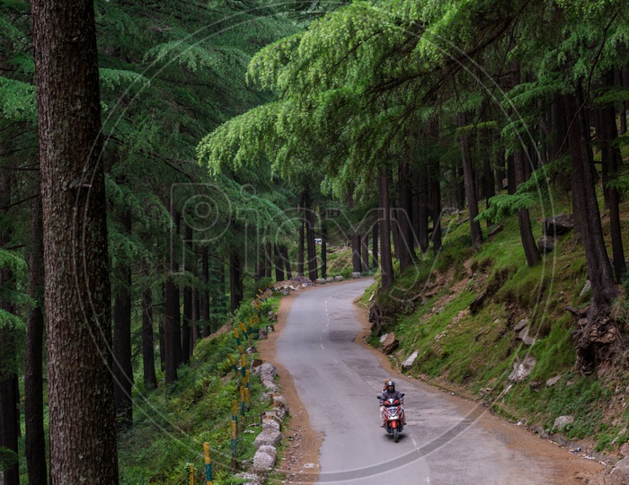 View of a Motorcycle moving along the forest road