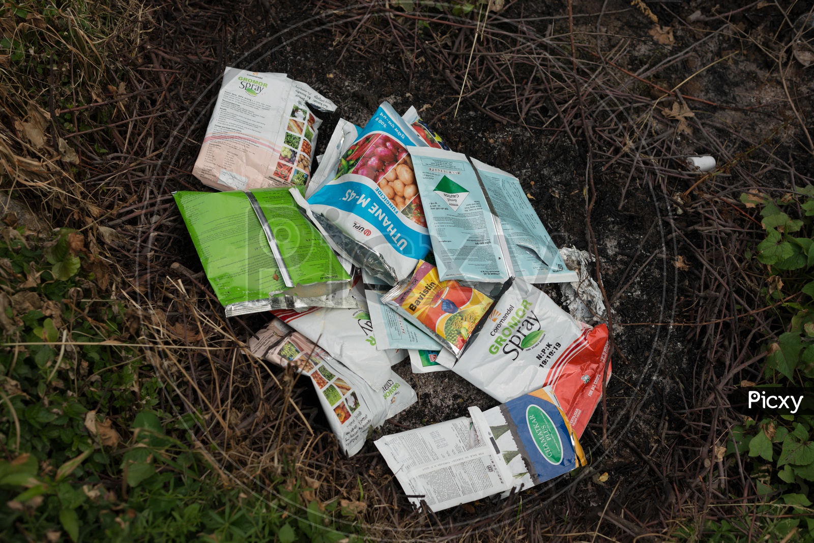 Plastic Covers in Forest or Garbage in a Forest