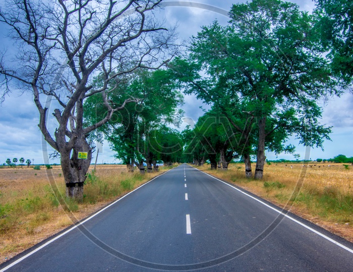 An empty roadway