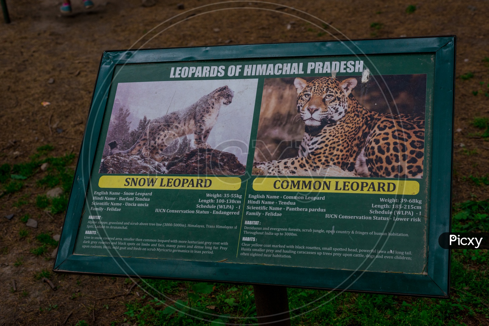 Signboard about Leopards in van vihar national park in Himalayas -