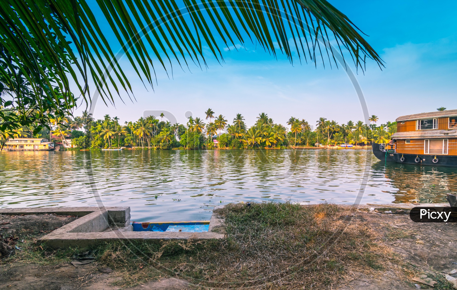 View of coconut trees and houseboats on the backwaters